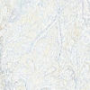 Light Blue Brocade Indo Western with Embellishment